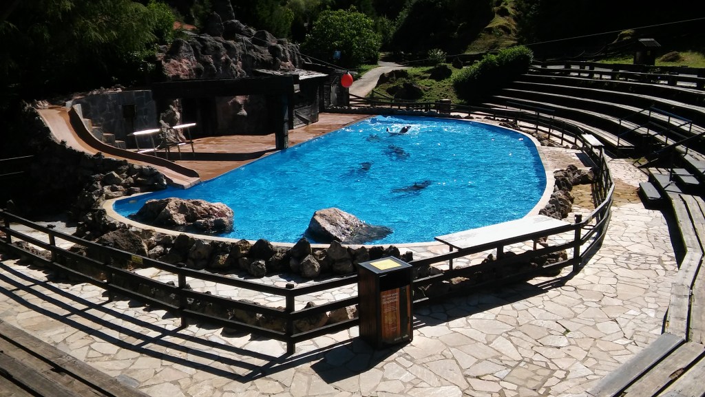 Piscina de los leones marinos