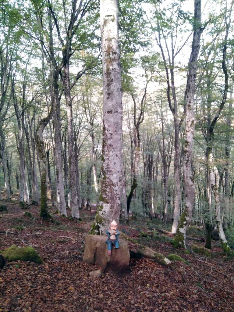 El enanuco bigarista